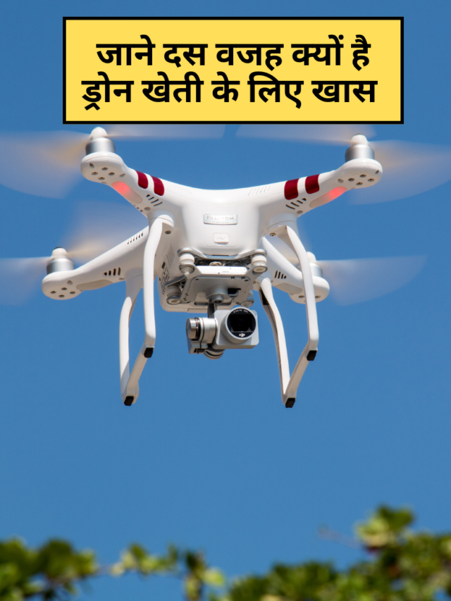 जाने दस वजह क्यों है ड्रोन खेती के लिए खास