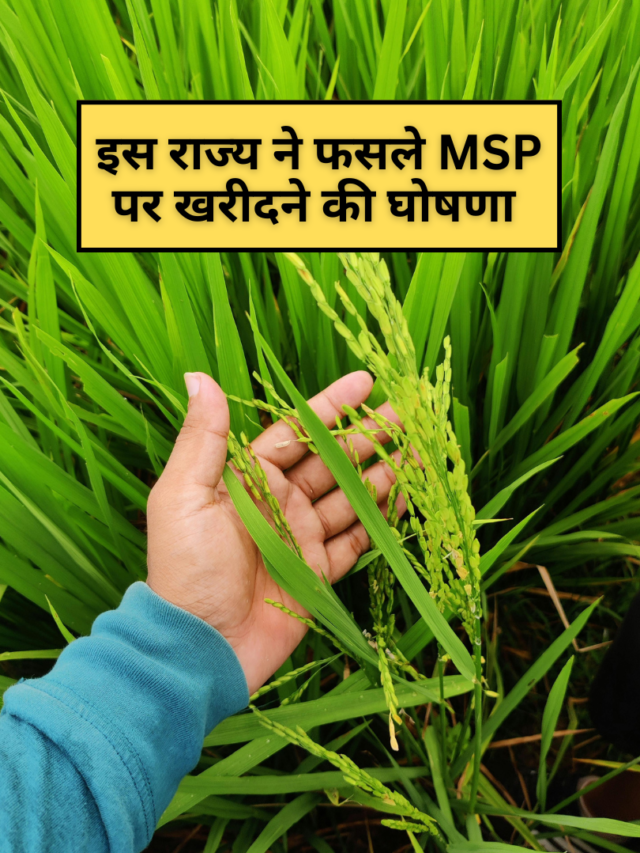 इस राज्य ने फसले MSP पर खरीदने की घोषणा