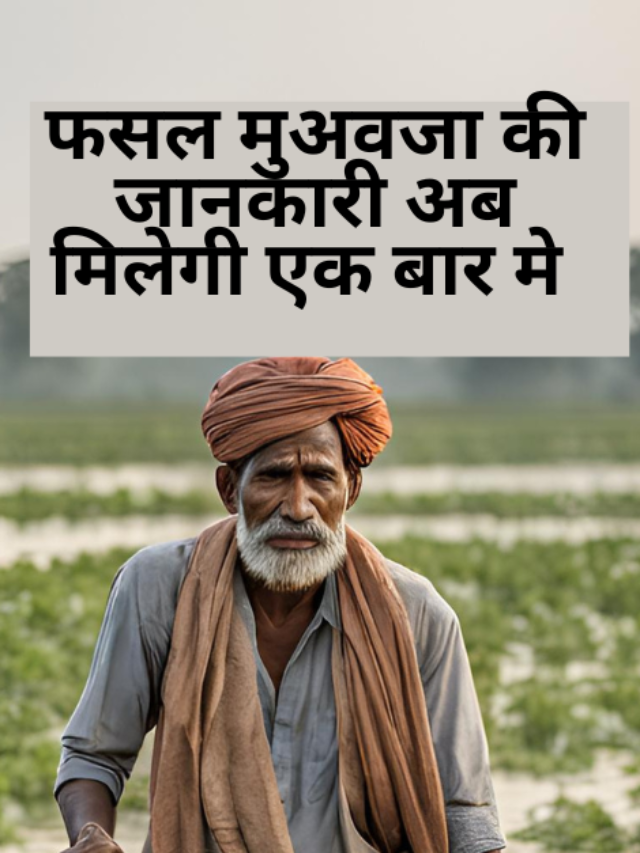 फसल मुअवजा की जानकारी अब मिलेगी एक बार मे