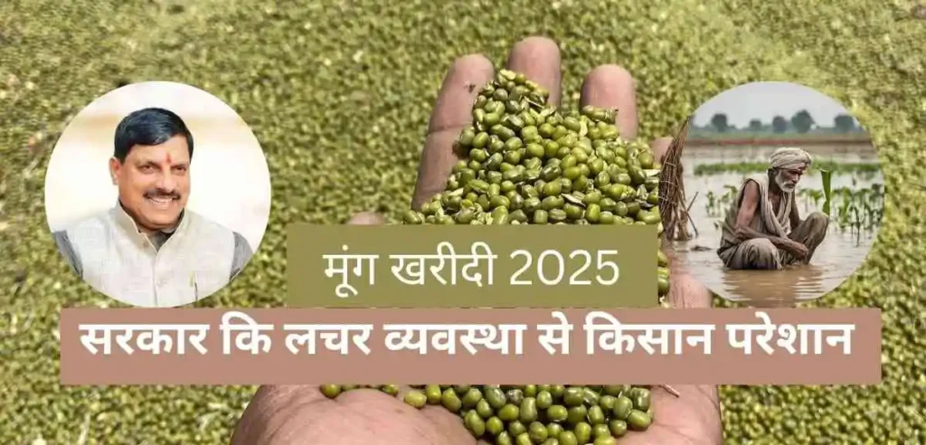 मूंग खरीदी 2025