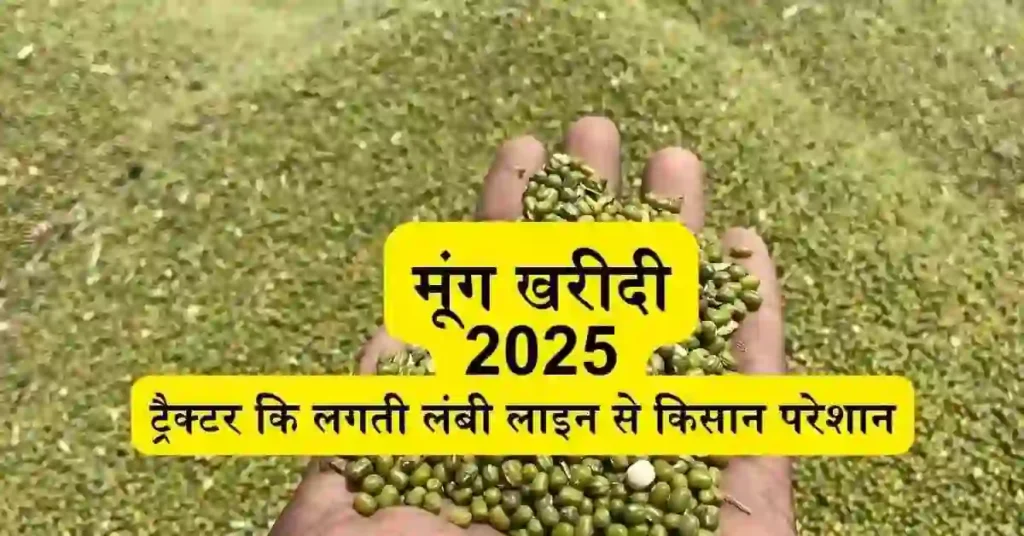 मूंग खरीदी 2025